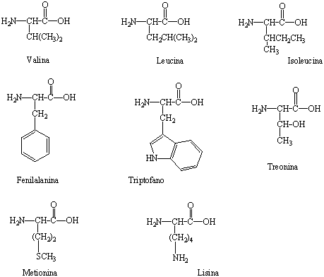 figura12