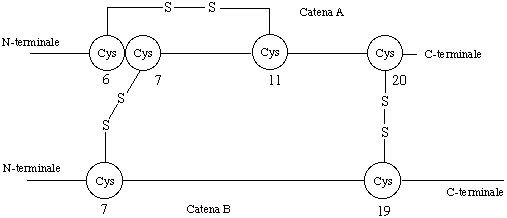 figura18