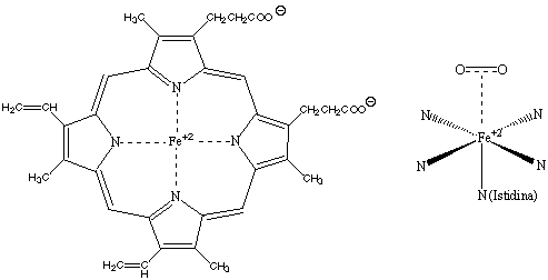 figura19